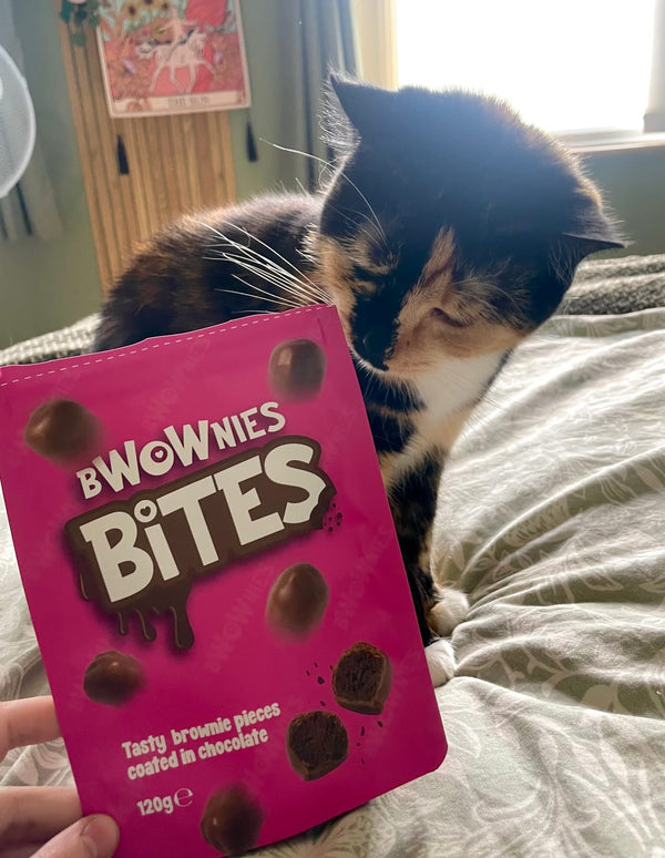 Customer photo review of BWOWNIES BITES